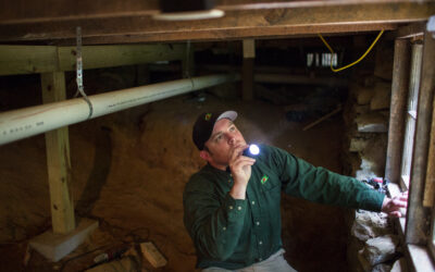 What are the signs of termite activity homeowners should never ignore?