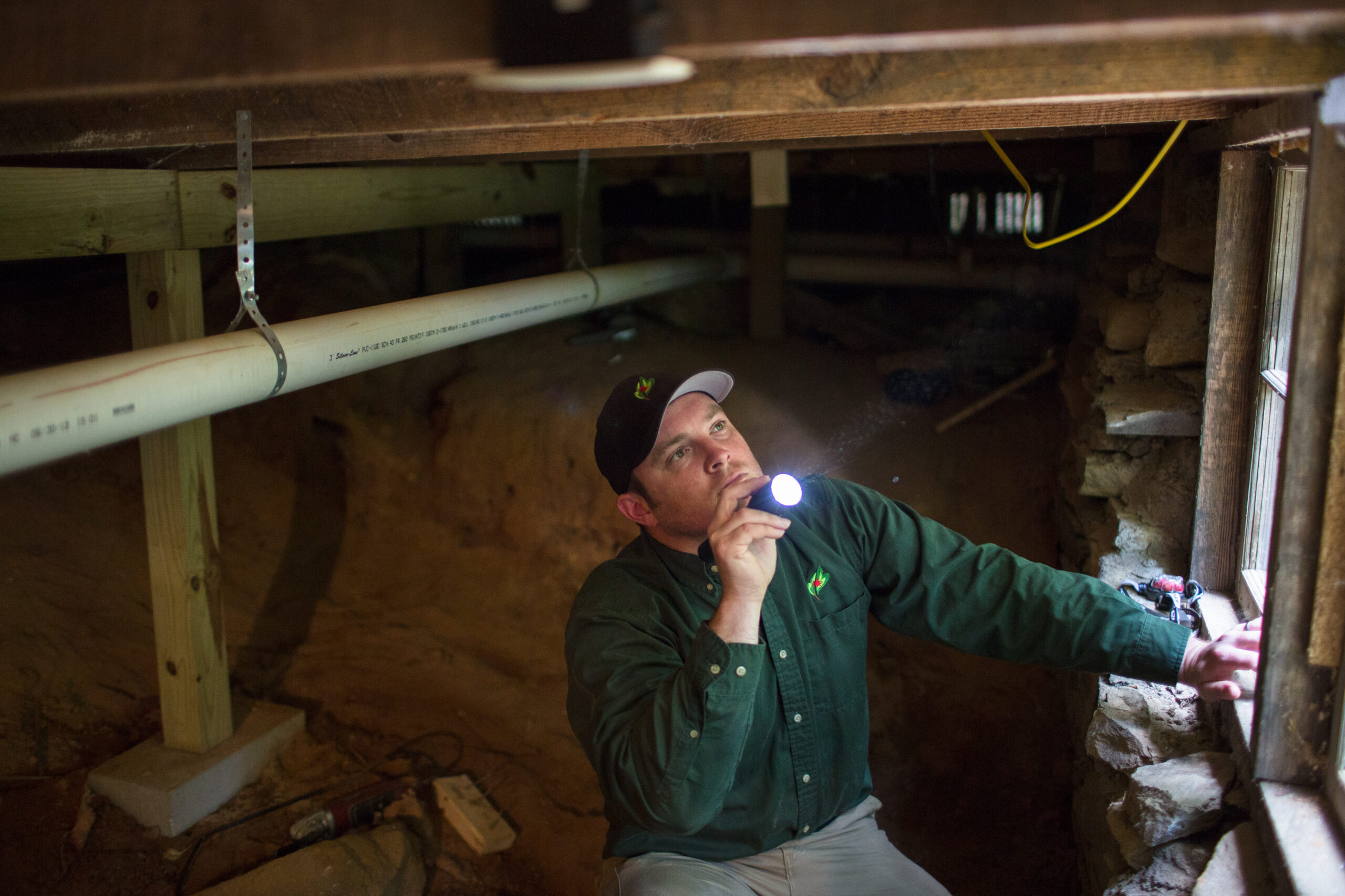 What are the signs of termite activity homeowners should never ignore?