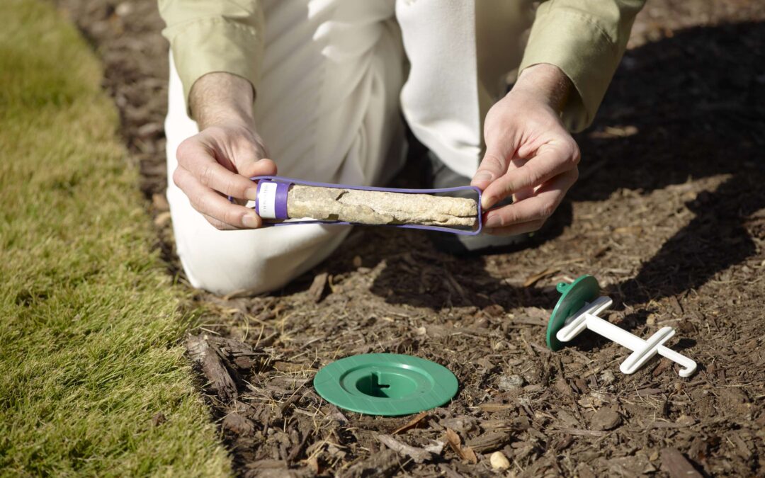 What termite protection do WNC homeowners actually need?