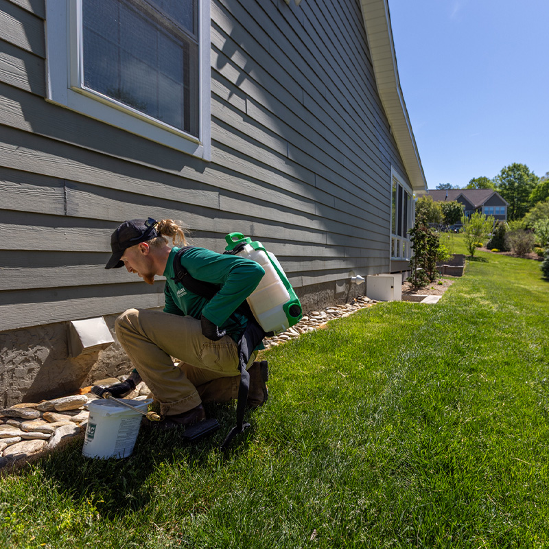 Pisgah Pest Control technician inspecting dryer vent