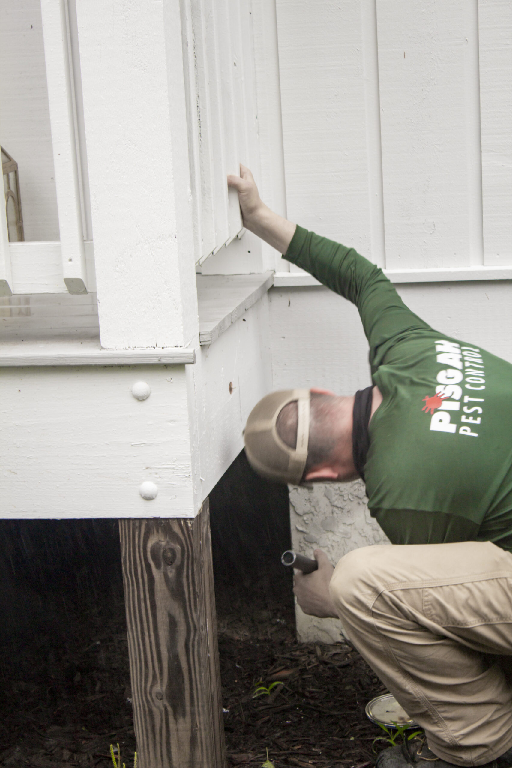 performing termite inspection (4)