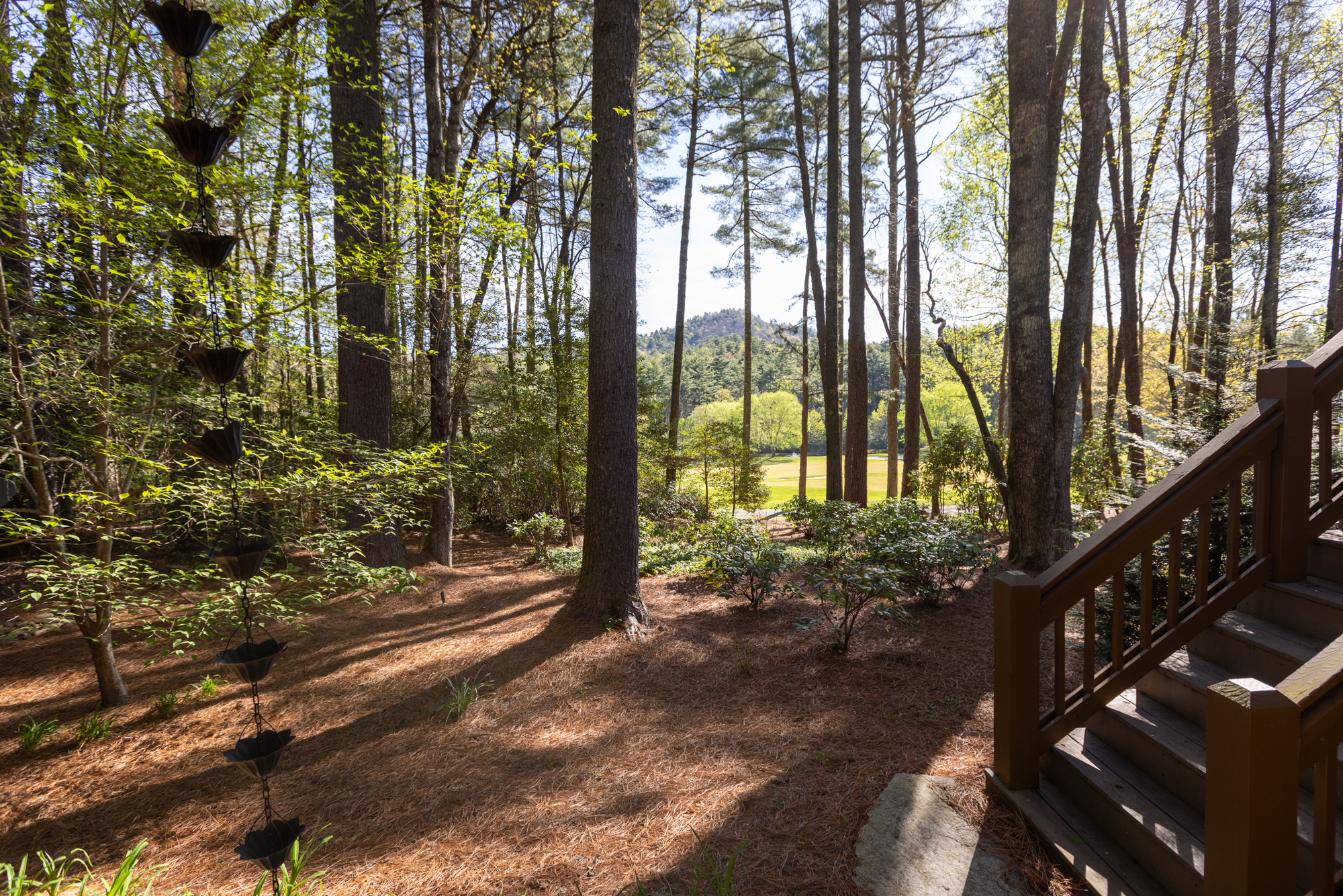 Why are mountain homes in WNC at higher risk for termites?