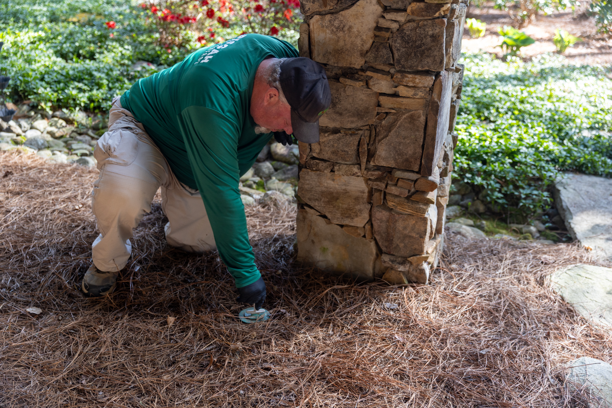 What’s the difference between termite treatment and ongoing termite protection for WNC homes?