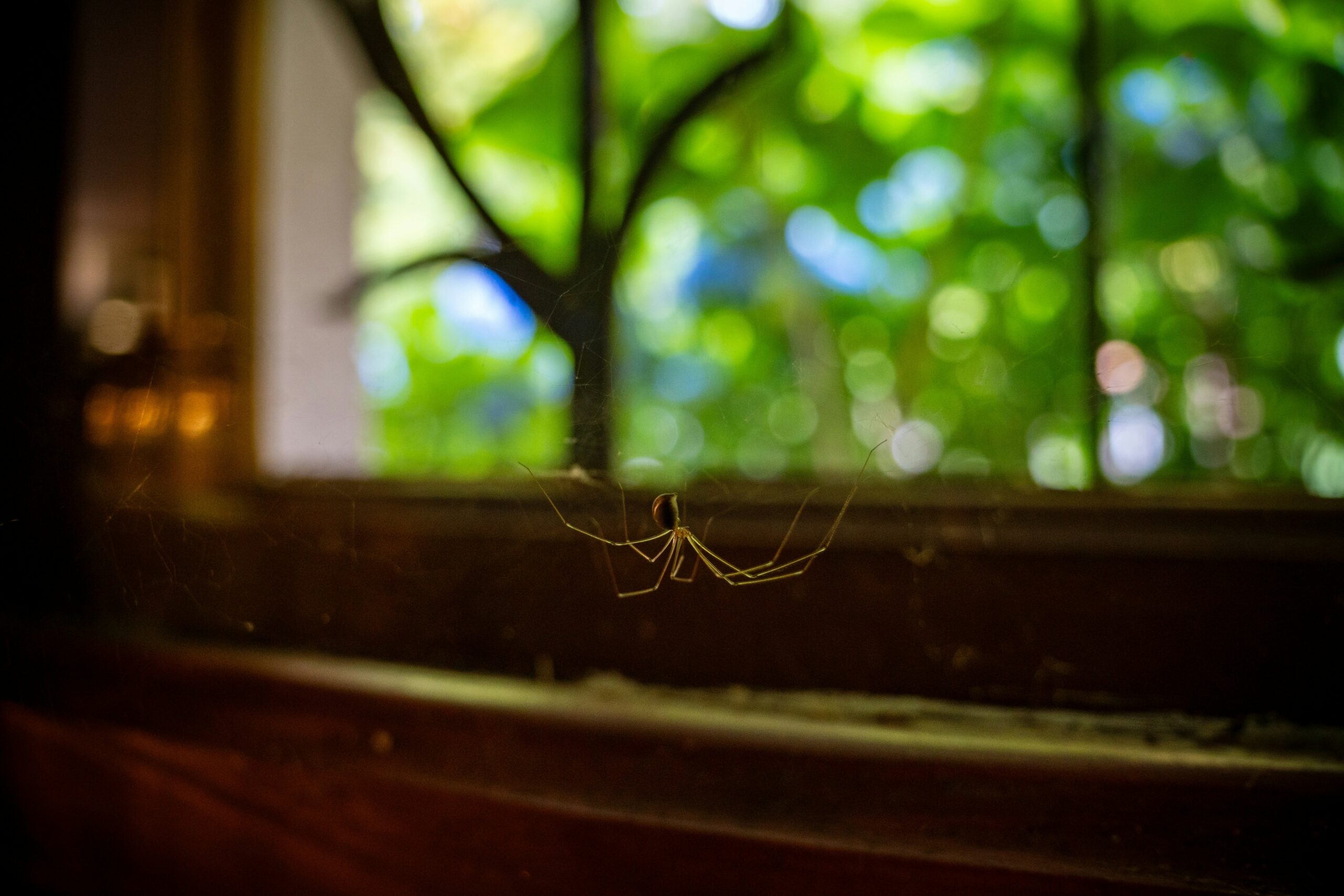 michal-robak-GIM2zTmpab8-unsplash