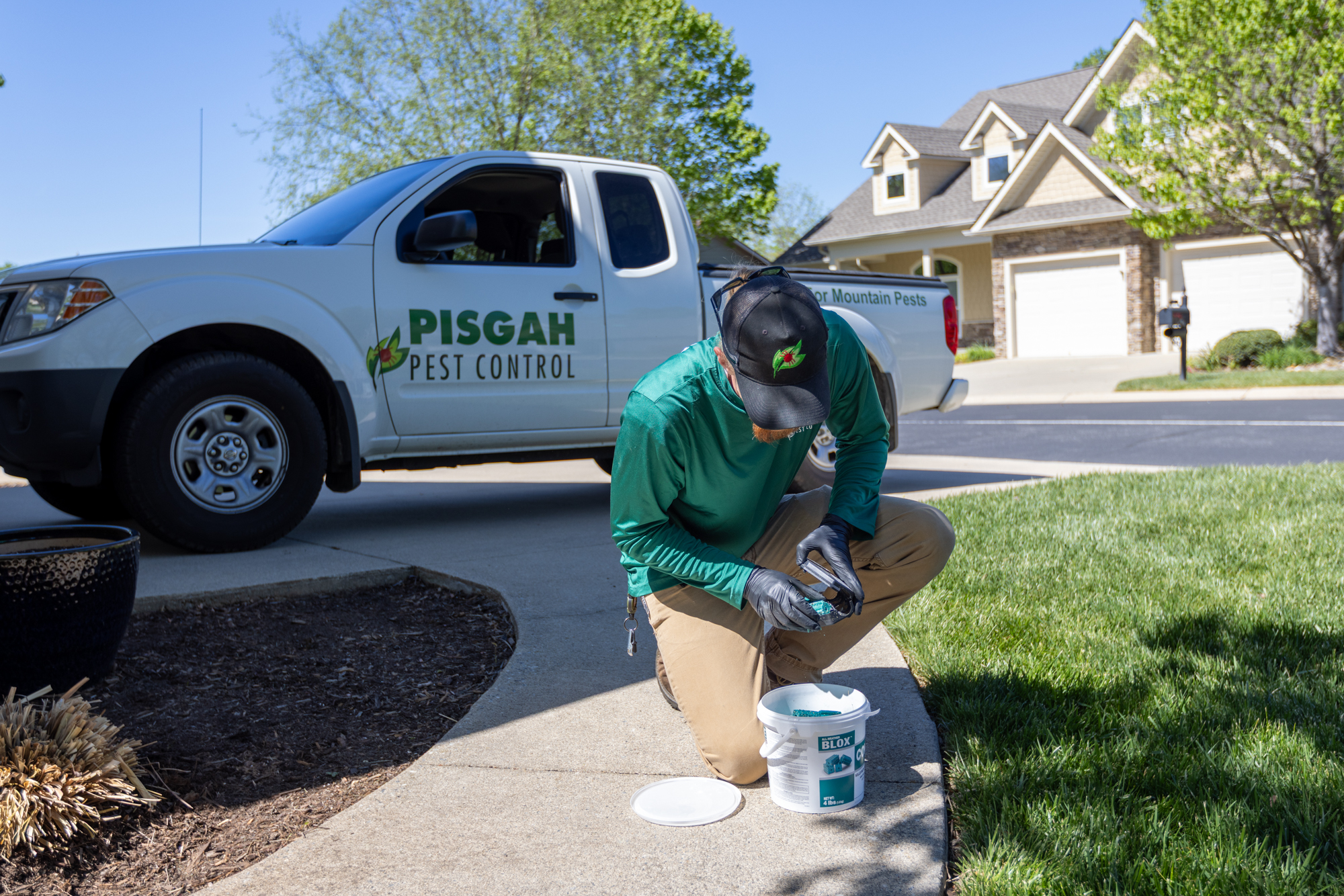 I Saw One Mouse, How Many Do I Actually Have? Signs of Mice and Rats in Your Asheville Home