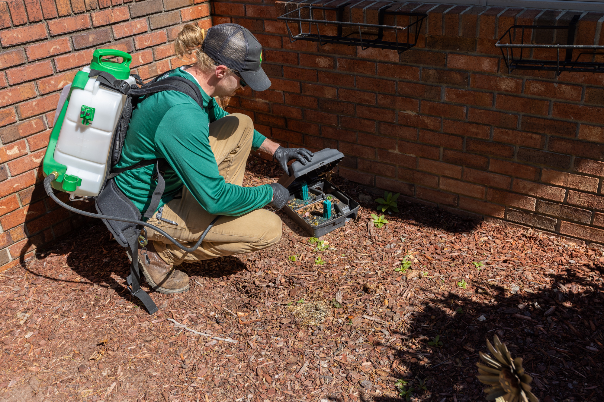 Is DIY Rodent Control Safe Around Pets and Kids in Your Asheville Home?